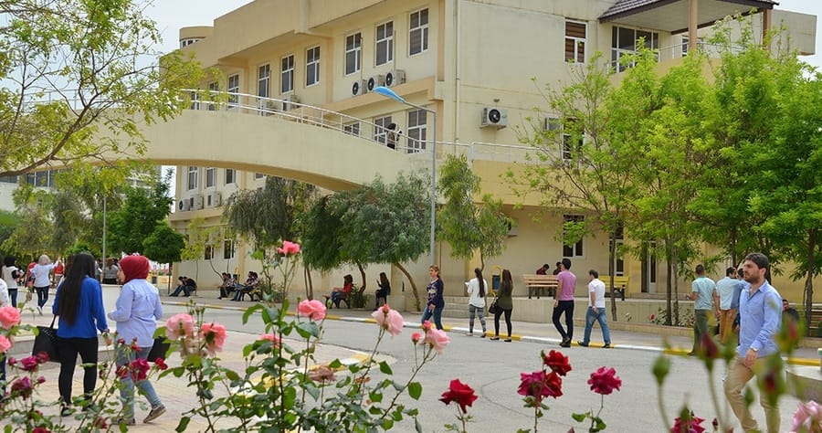 zankoy jihan w h