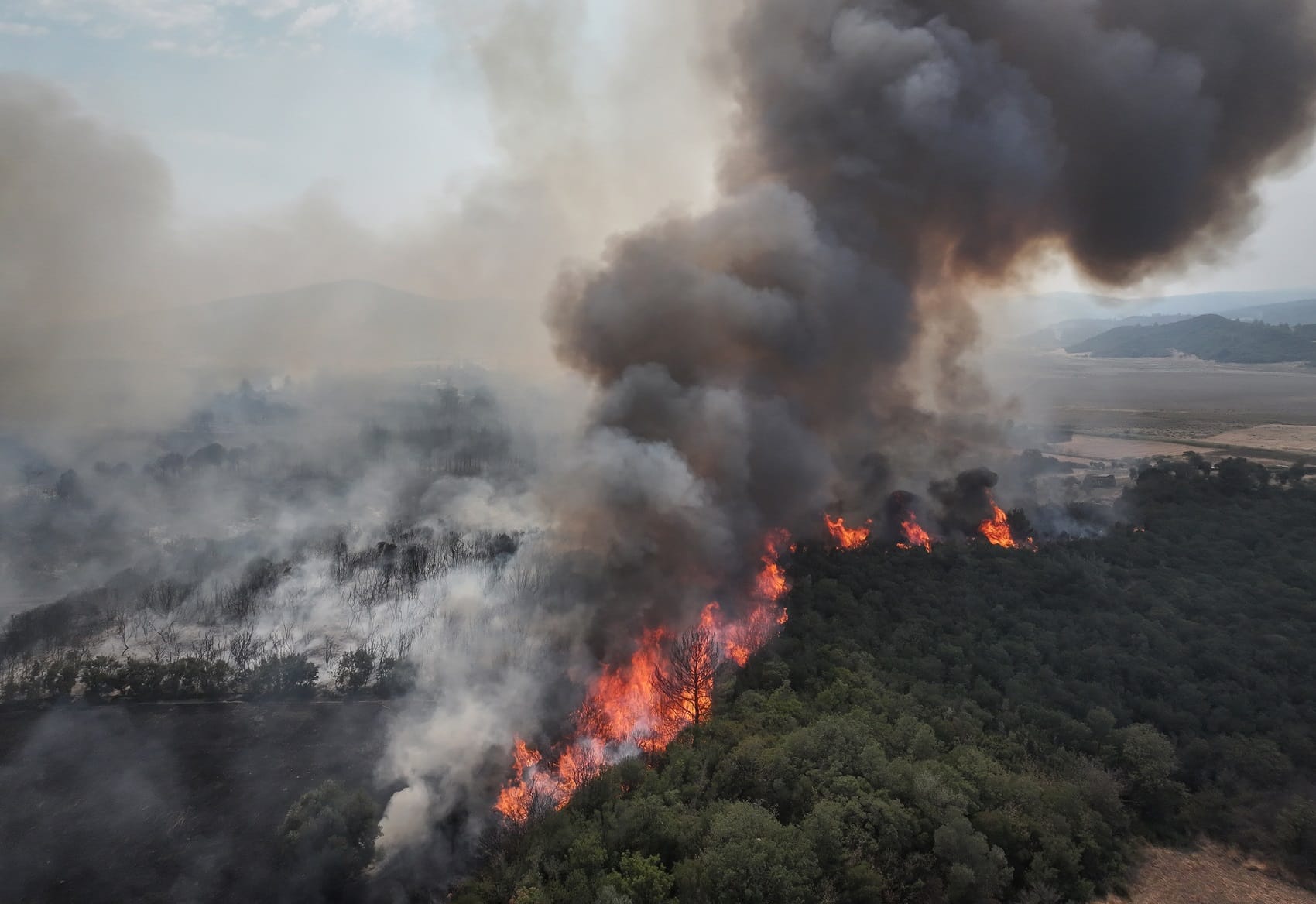 Çanakkale Gelibolu'daki orman yangını